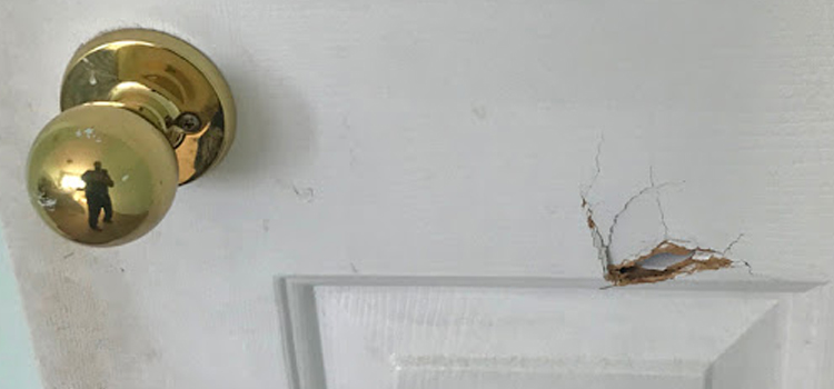 interior door hole repair Santa Paula